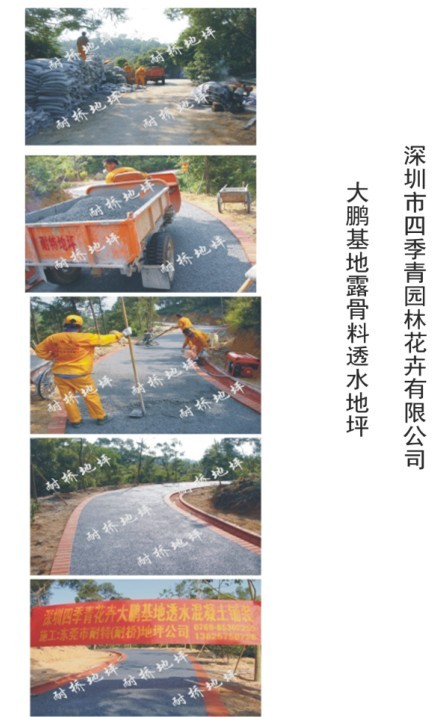 2011年9月30日进场深圳大鹏四季青园林花卉有限公司大鹏基地天然深灰色露骨料透水混凝土路面施工