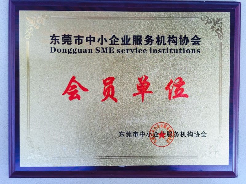 东莞中小企业服务协会