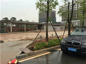 QQ图片20160806113701.jpg
